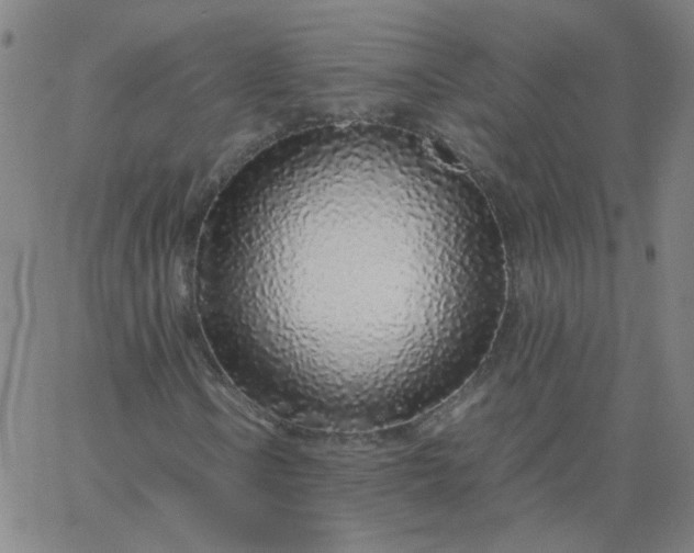 X0000067381106200604131859