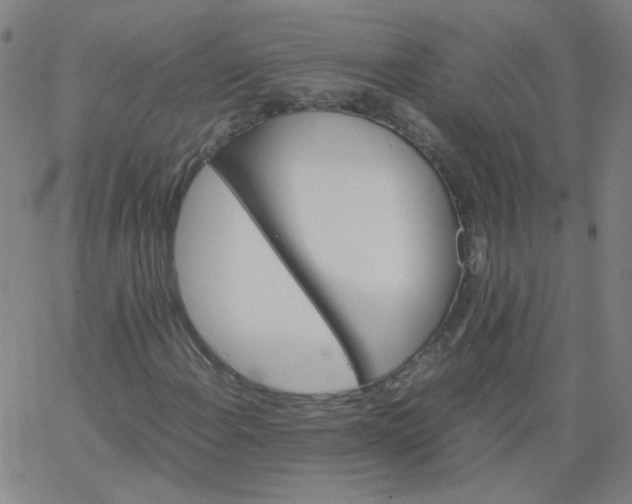 X0000067381108200604131859