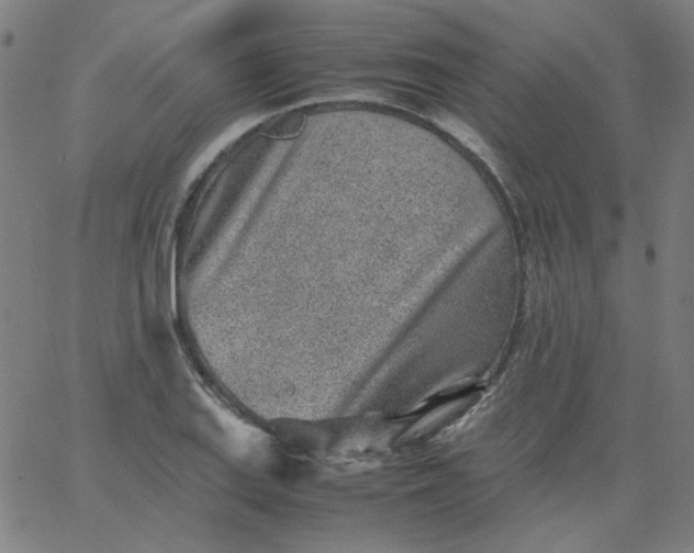 X0000067381127200604131900