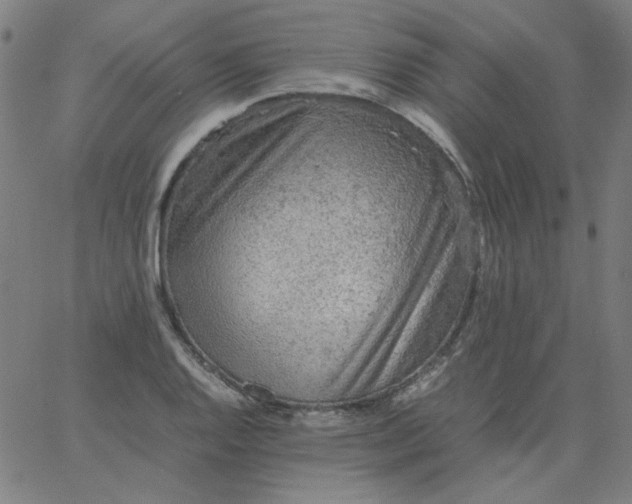 X0000067381128200604131900