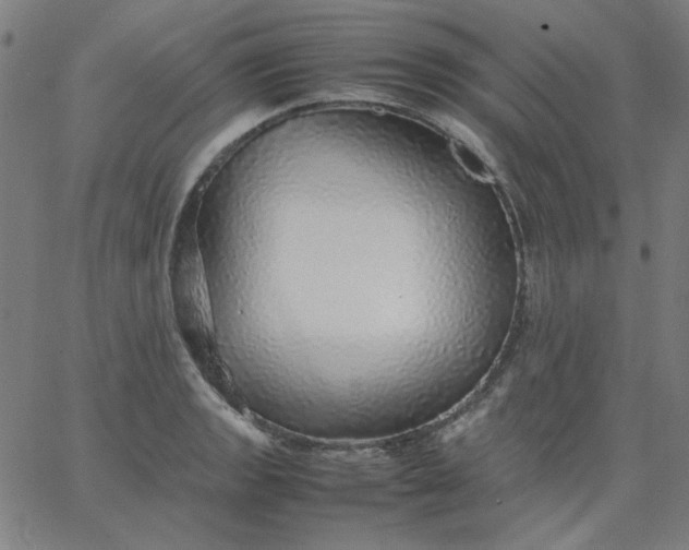 X0000067381133200604131900