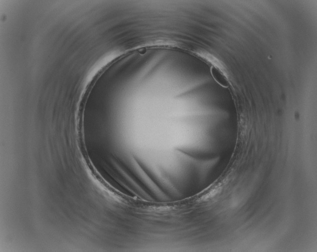 X0000067381135200604131900