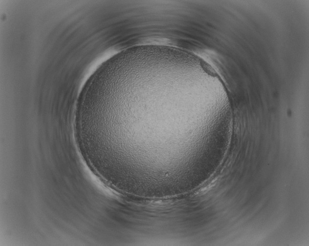 X0000067381139200604131900