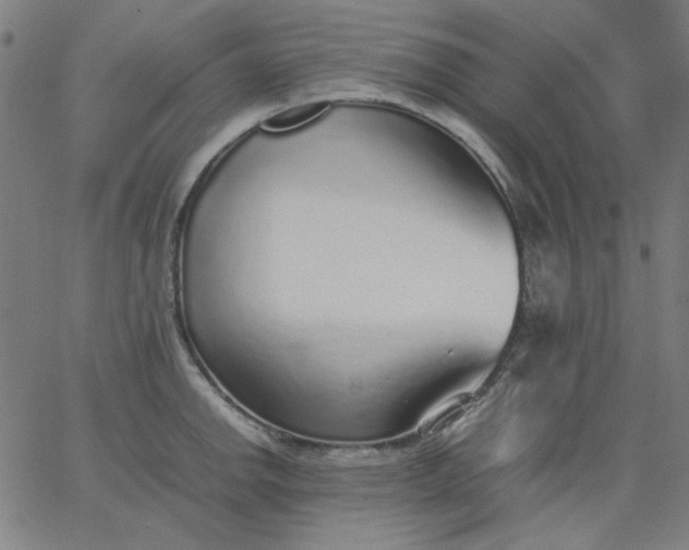 X0000067381142200604131900