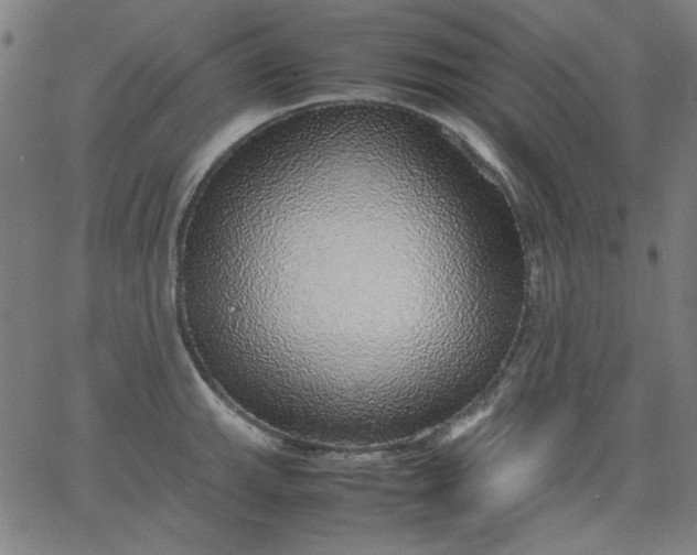 X0000067381143200604131900