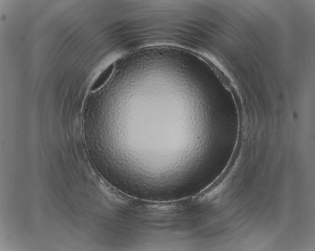 X0000067381145200604131900