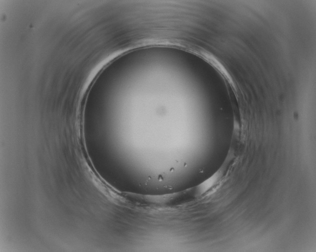 X0000067381148200604131900