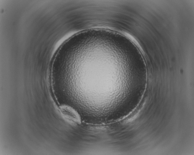 X0000067381149200604131900