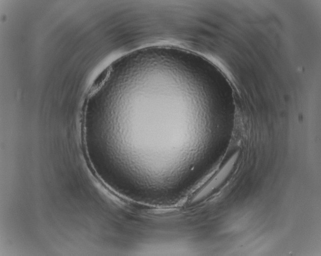 X0000067381151200604131900