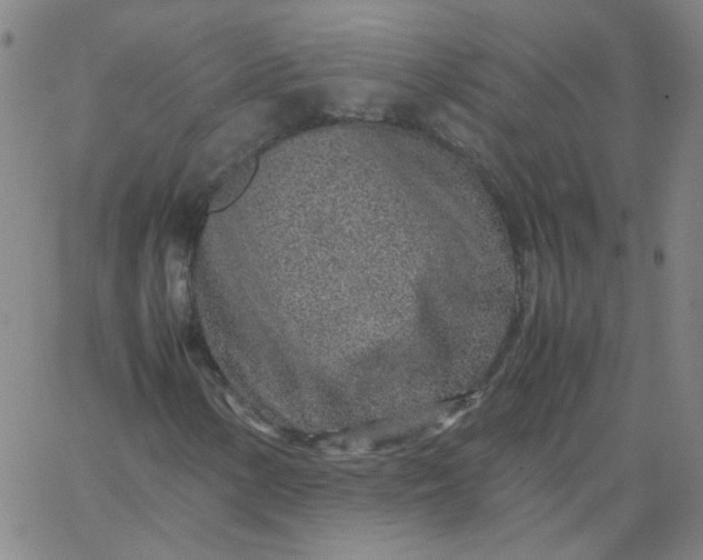 X0000067381154200604131859