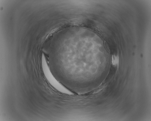 X0000067381155200604131859