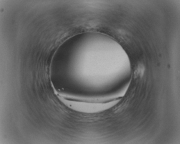X0000067381156200604131859