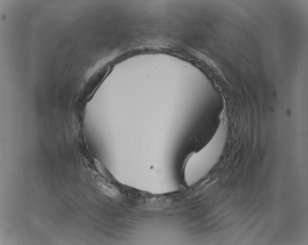 X0000067381160200604131859