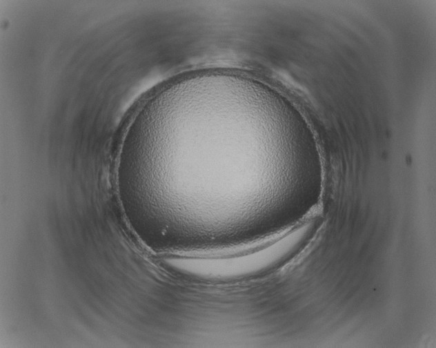 X0000067381166200604131859