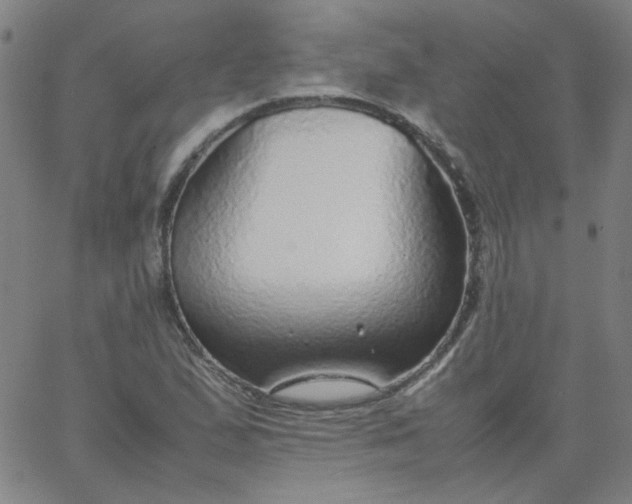 X0000067381167200604131859