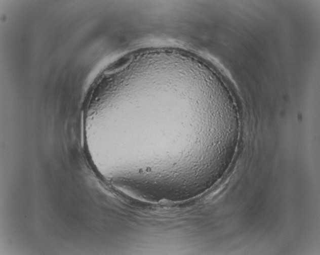X0000067381175200604131859