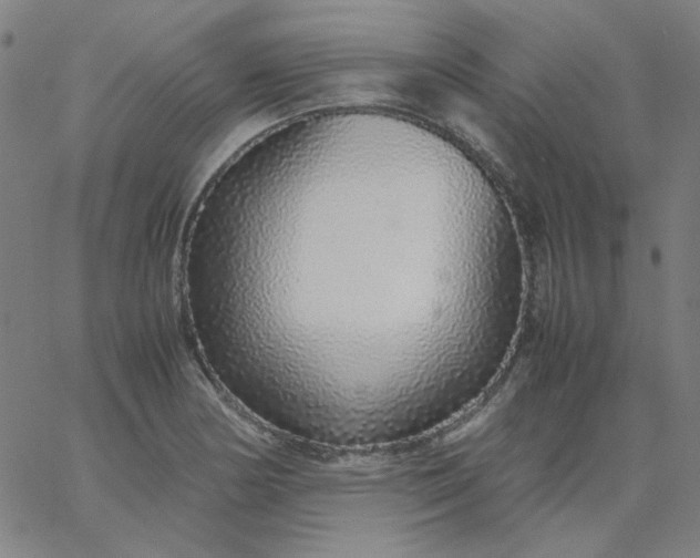 X0000067381178200604131859
