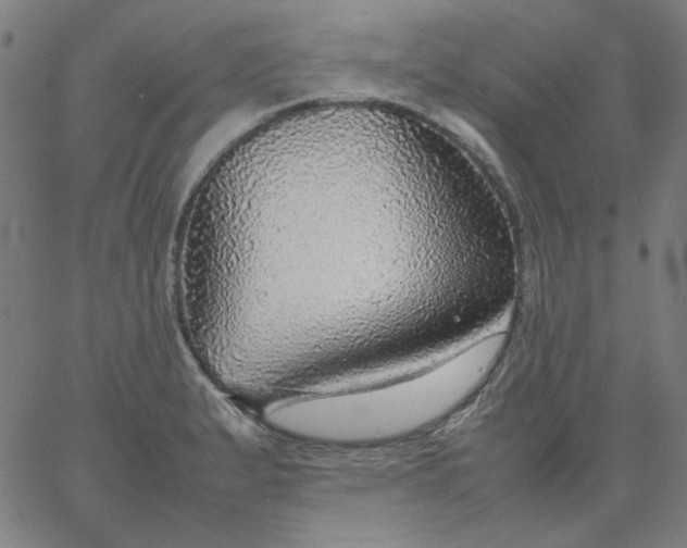 X0000067381183200604131859