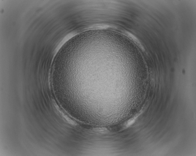 X0000067381186200604131859