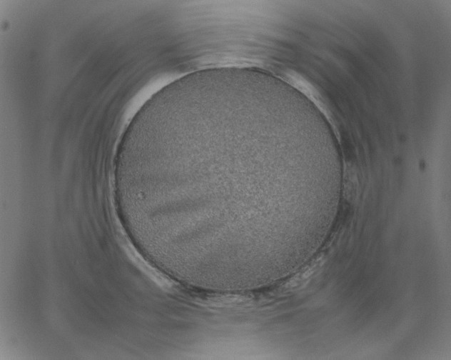 X0000067381187200604131859