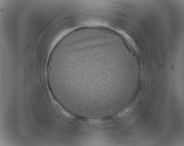 X0000067381191200604131859
