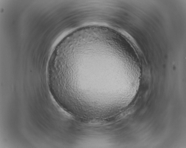 X0000067381199200604131858