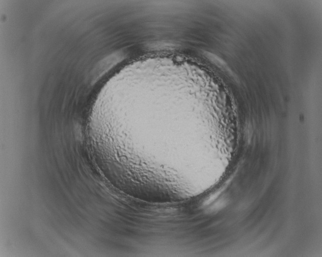 X0000067381209200604131858