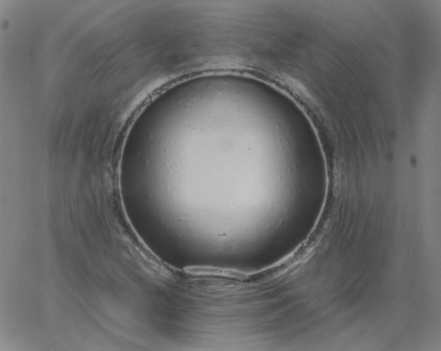 X0000067381212200604131858