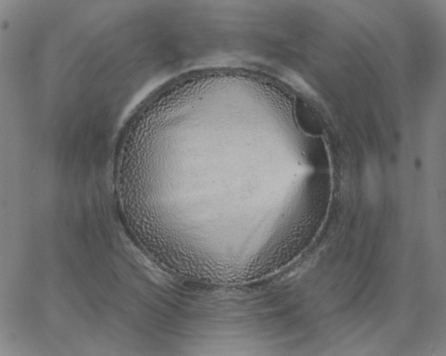 X0000067381216200604131858
