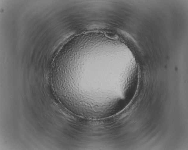 X0000067381217200604131858