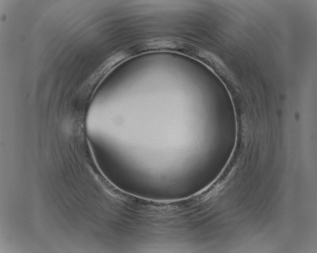 X0000067381225200604131858