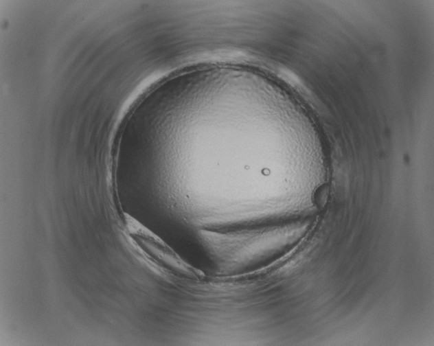 X0000067381232200604131858