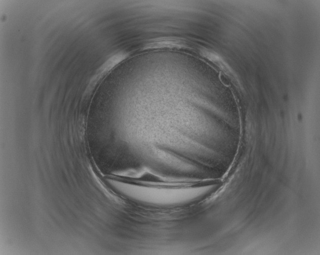 X0000067381233200604131858