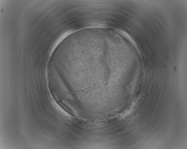X0000067381243200604131858