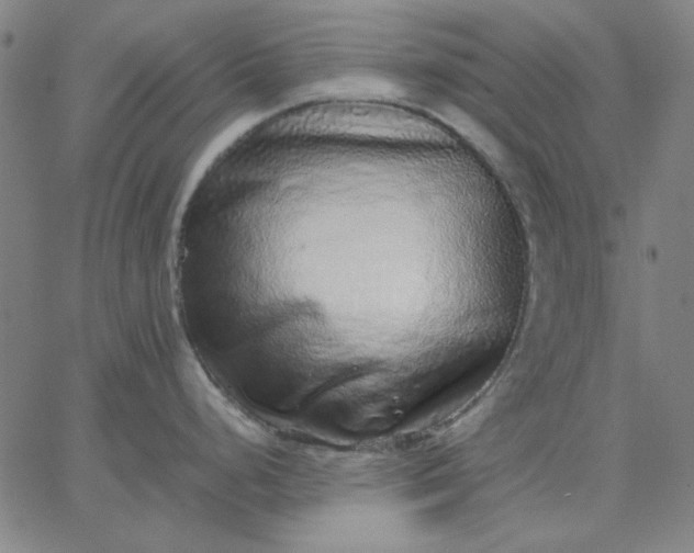 X0000067381248200604131858