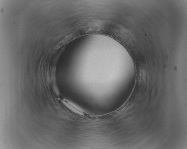 X0000067381250200604131858