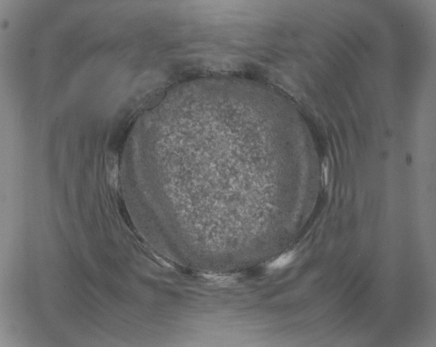 X0000067381251200604131858