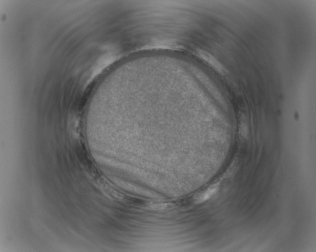 X0000067381258200604131858