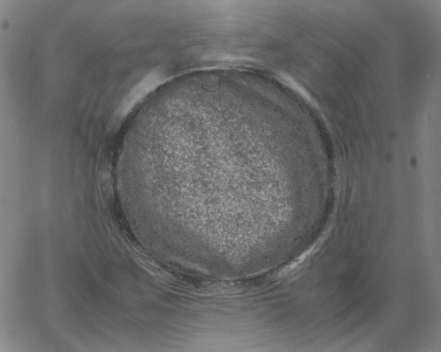 X0000067381259200604131858