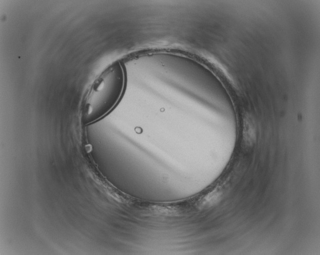 X0000067381270200604131857