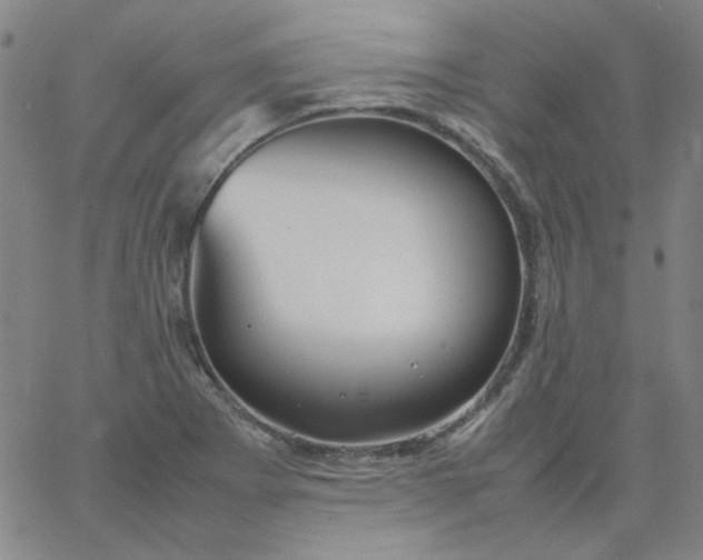 X0000067381273200604131857