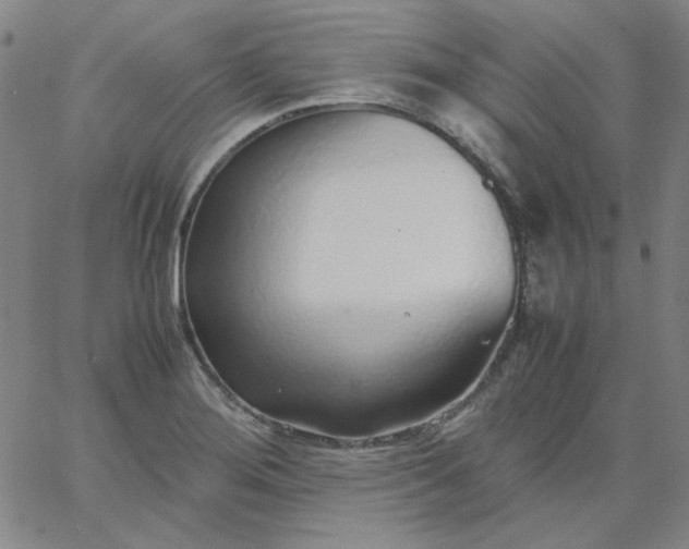 X0000067381276200604131857