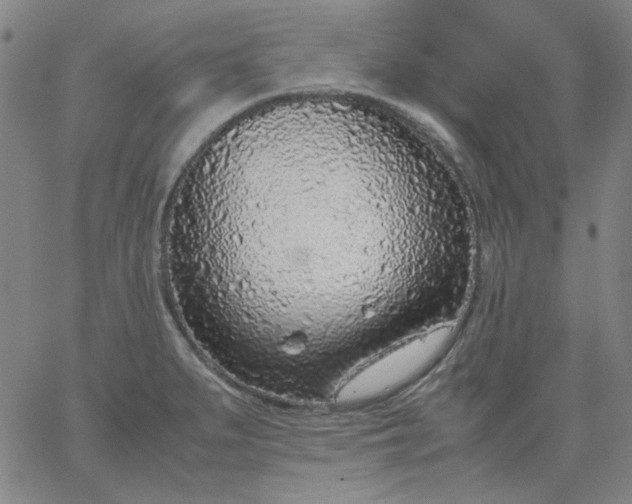 X0000067381279200604131857