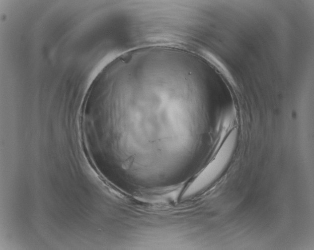 X0000067381291200604131857