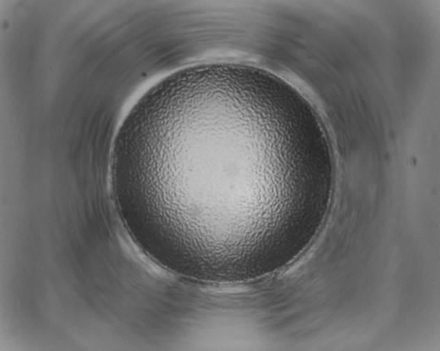 X0000067381296200604131857