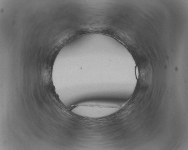 X0000067381300200604131856