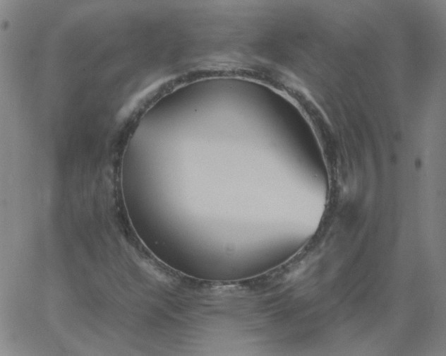 X0000067381304200604131856