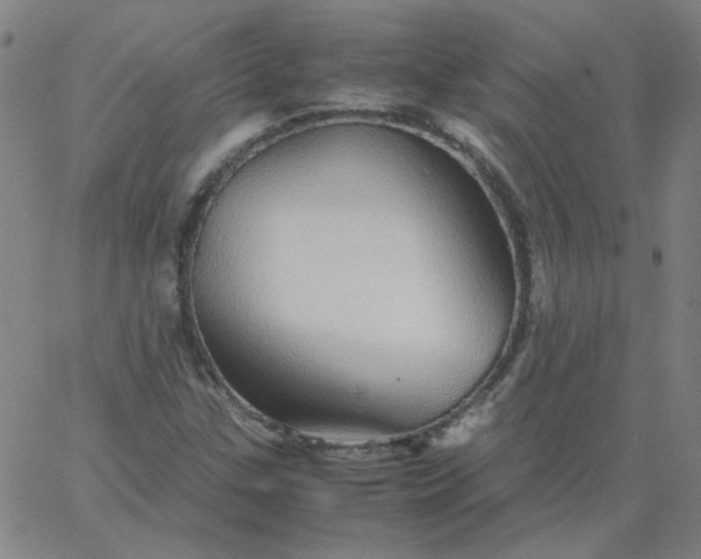 X0000067381307200604131856
