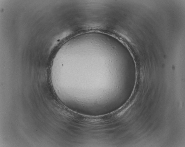 X0000067381309200604131856