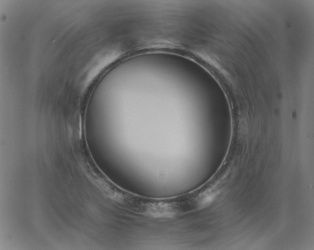 X0000067381317200604131856